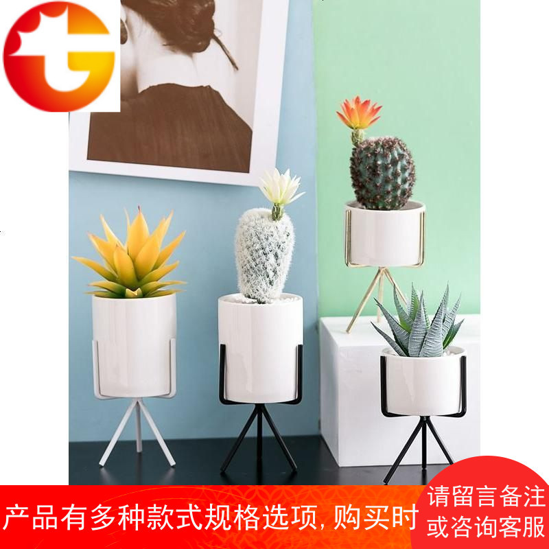 小盆栽仙人掌多肉仿真植物装饰摆件假花北欧室内客厅桌面绿植摆设