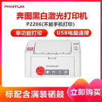 奔图(PANTUM)P2206 小型黑白激光打印机 家庭作业学生家用商用办公打印机 官方标配