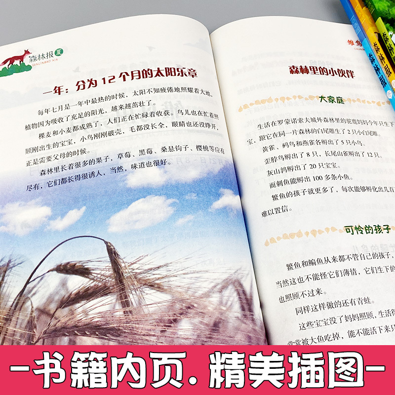 [正版]森林报春夏秋冬全四册苏联比安基原著二三四年级下册课外阅读书籍合集8-12周岁儿童读物的故事书绘本小学生课外书彩