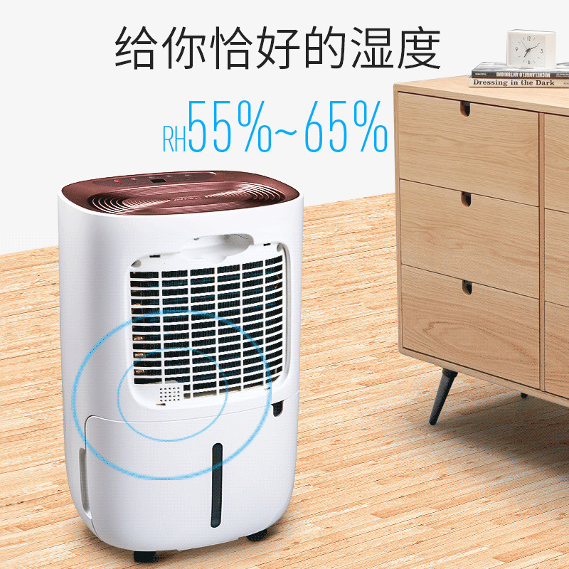 德业(Deye)家用除湿机DYD-S12A3 卧室抽湿干衣干燥静音除湿器