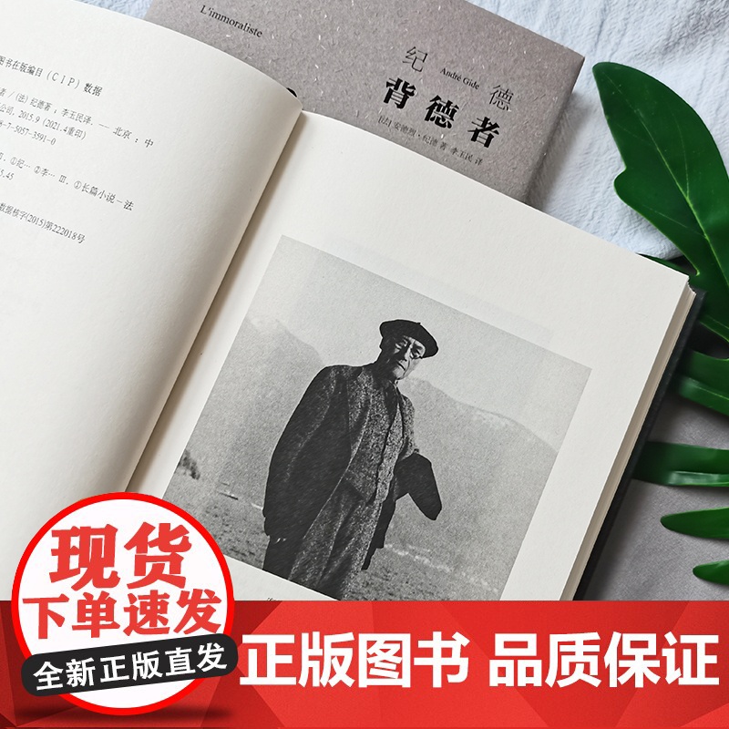 正版书籍]背德者 诺贝尔文学奖得主作品 纪德的自我剖白之书 李玉民经典全译本 精装 人间食粮 窄门 纪德文集中国友谊出版高清大图