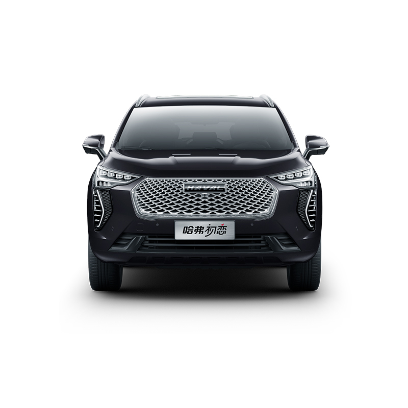 订金哈弗初恋下订享多重礼参数