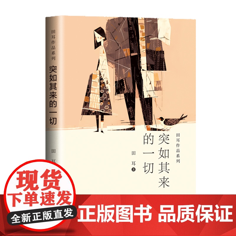 突如其来的一切(田耳作品系列)高清大图