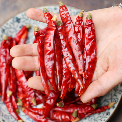 魔鬼辣椒