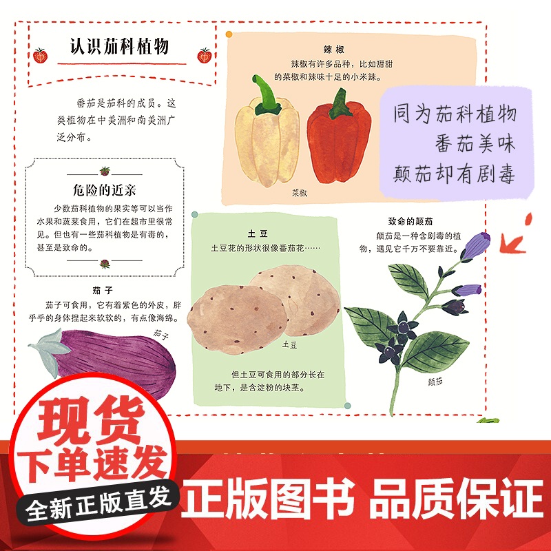 万物生长:平凡日常里的非凡植物 治愈系手绘植物图鉴 了解植物 小学生一二三年级课外阅读读物 趣味科普百科走进大自然培养专高清大图