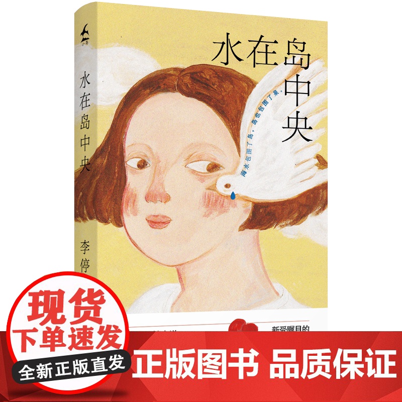 水在岛中央 现象级小说在小山和小山之间作者李停著作 东亚家庭母女关系 害怕去过像妈妈那样被困住的一生 长篇小说 现当代高清大图