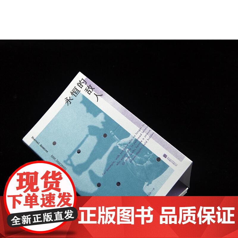 永恒的敌人扎加耶夫斯基诗集II 波兰亚当•扎加耶夫斯基北京联合出版公司高清大图