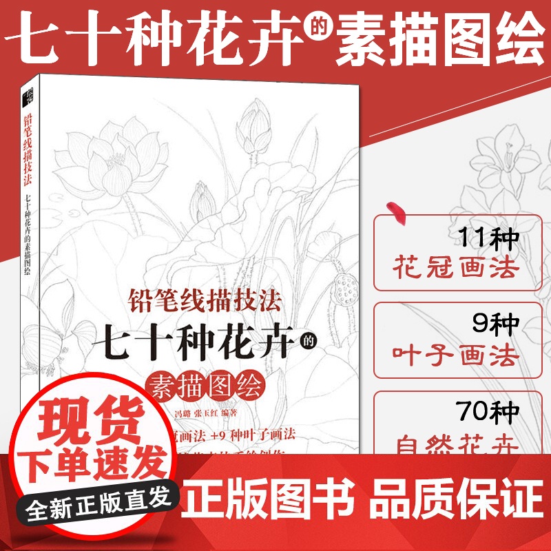 铅笔线描技法 七十种花卉 素描书零基础画画入门自学教程书籍白描线描花画册本临摹手绘初学者学绘画基础教材铅笔画美术描摹画稿高清大图