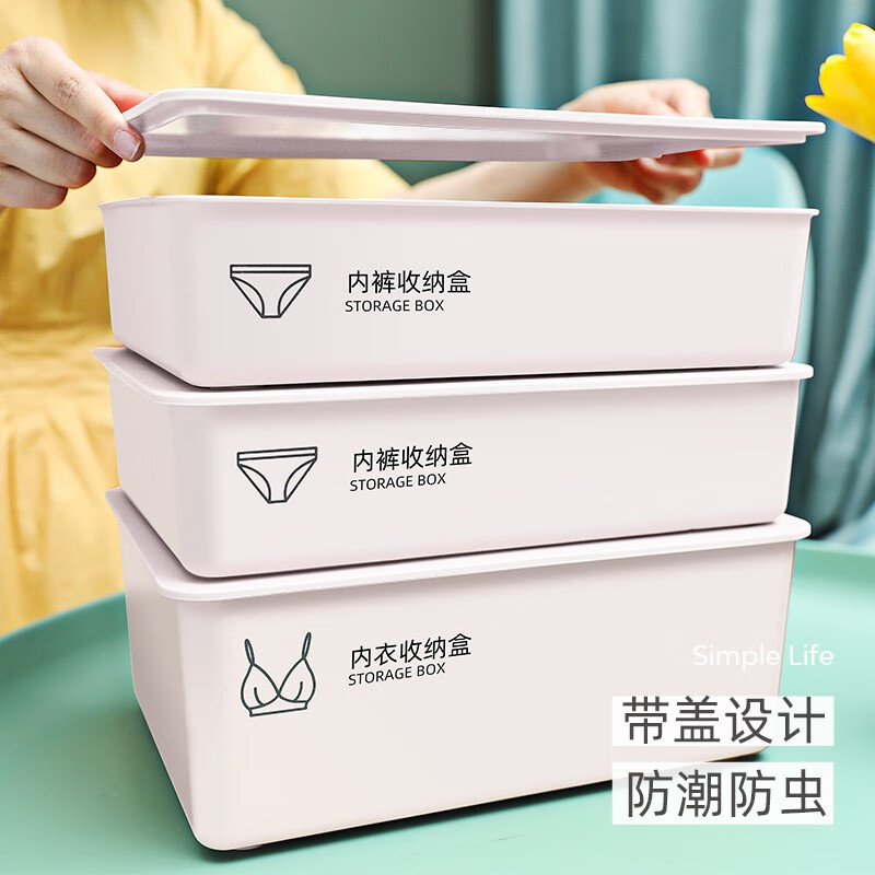 禧天龙(Citylong) 内衣收纳盒袜子内裤无格宿舍家用神器衣柜内衣裤整理盒 H-9189[白色]高清大图