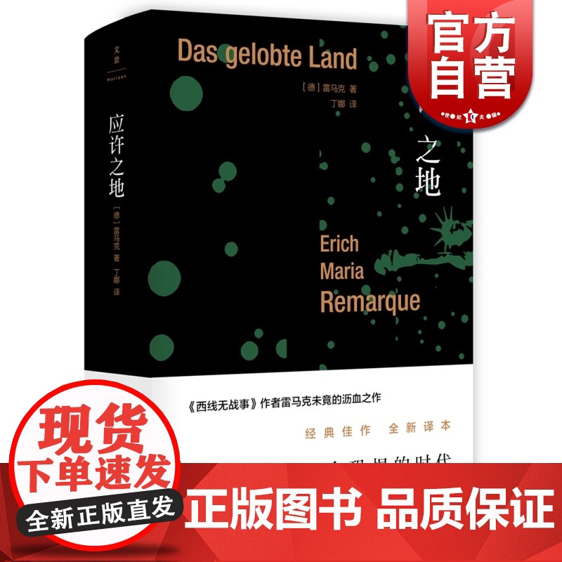 应许之地(精装) 【德】埃里希玛丽亚雷马克 丁娜 雷马克作品系列 另著/西线无战事/里斯本之夜/应许之地 正版图书籍 上