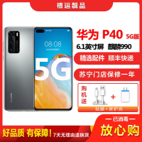 [二手9成新]华为P40 5G 冰霜银 6G+128G 全网通安卓手机6.1英寸直面屏 麒麟990 双卡拍照备用5G手机
