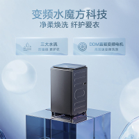 小天鹅波轮洗衣机10公斤全自动水魔方防缠绕TB100V808DB