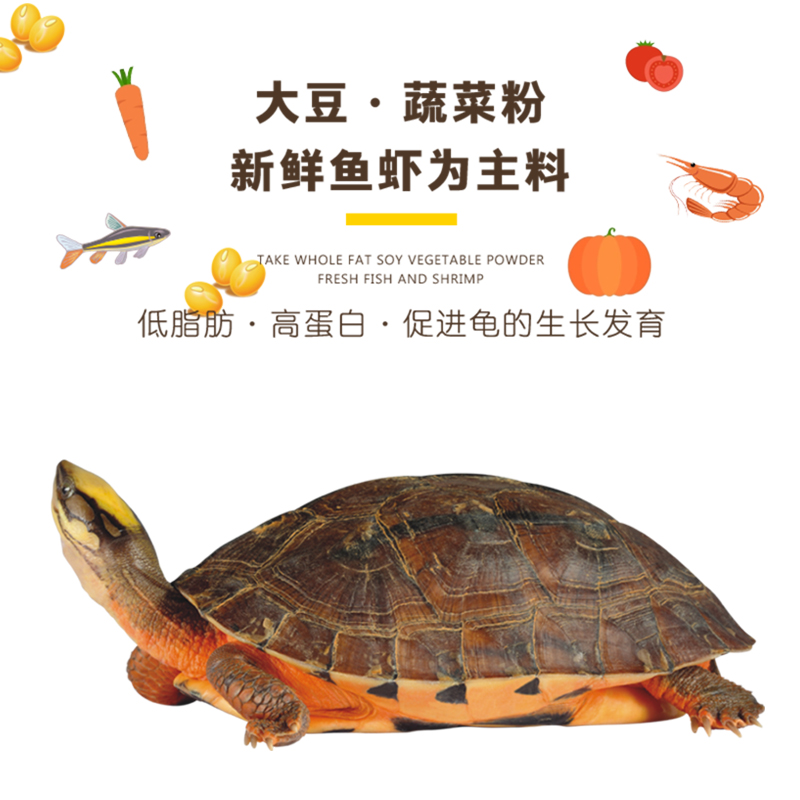 龟粮石金钱龟饲料喉拟水龟越南石龟麝香龟粮乌龟饲料金钱龟龟食高清大图