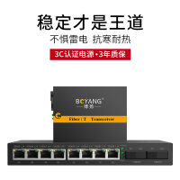 博扬 BY-DG208A/B 千兆二光八电单模单纤光纤收发器交换机 光电转换器 防雷SC接口 25公里外置电源