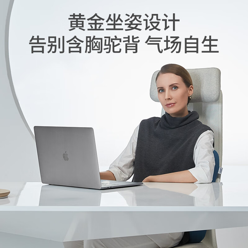 佳奥蝶形腰垫-加热款190601J0117MS1高清大图