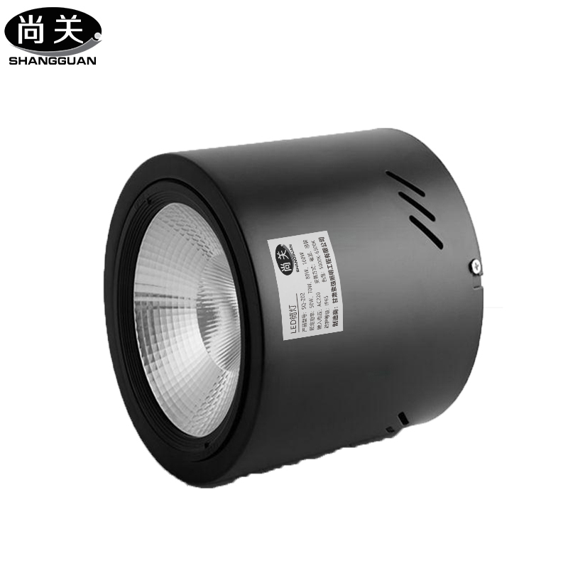 尚关(SHANGGUAN)灯 SQ-Z02 AC220V LED 30W