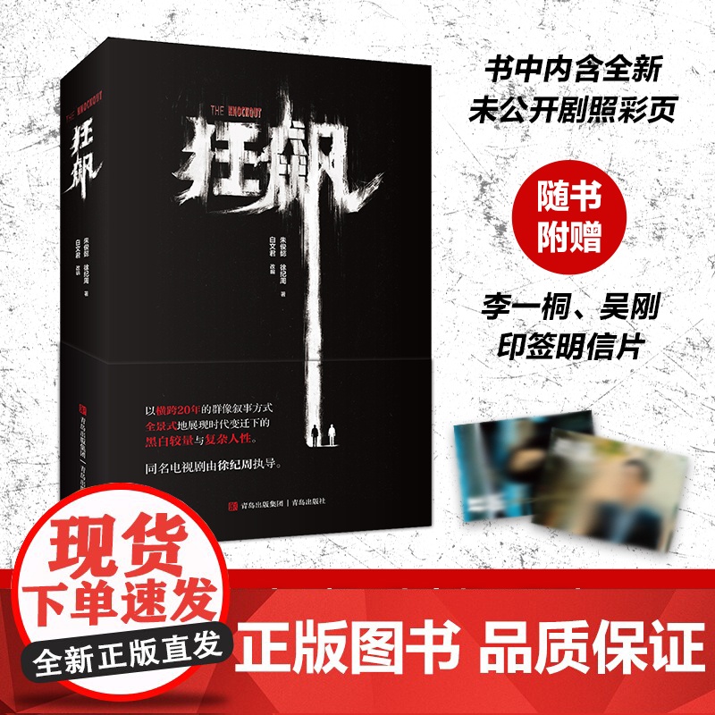赠印签明信片 狂飙小说 徐纪周导演 张译 张颂文 李一桐主演同名电视剧 狂飙 原著 狂飙书籍 悬疑黑帮电视剧高清大图