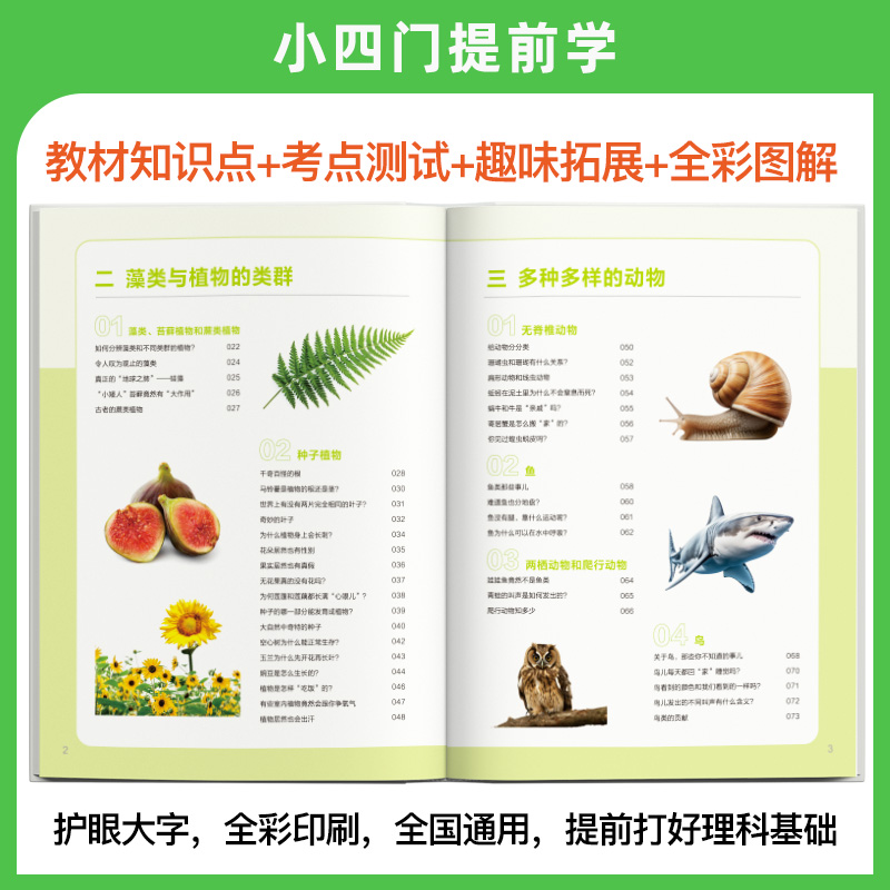 [进阶提升]物化生地启蒙课(4本套装) 小学通用 [正版]2025版小学初中物理化学生物地理启蒙课三四五六年级通用版小四高清大图