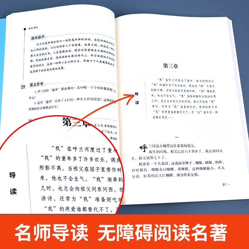 五年级必读的课外书老师适合5上册下册学期看的书经典书目人民呼和兰