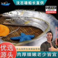 沈志雄 东山岛海鲜带鱼段黄金带鱼刀鱼 4-6条/400g 共2盒东山特色品种