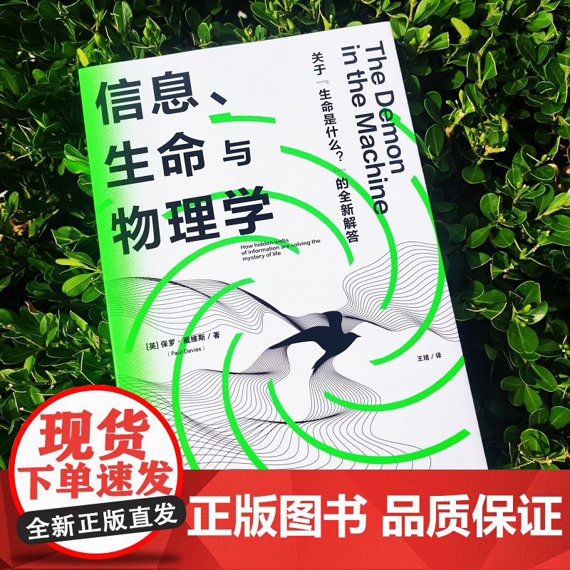 信息、生命与物理学 保罗·戴维斯 着 关于生命是什么的新解答 大开眼界的跨学科前沿探索之旅 科普读物 薛定谔 中信正版书高清大图