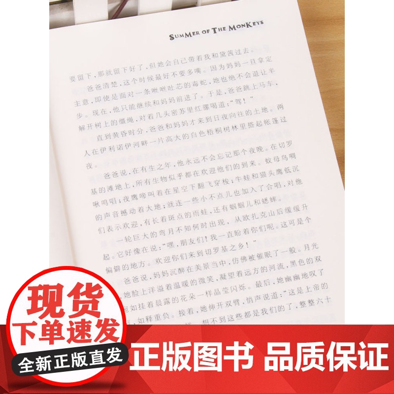 夏日历险记 大奖小说成长版 二三四五六年级小学生课外阅读书籍 6-12儿童故事书籍 儿童成长励志故事书 新蕾出版社高清大图