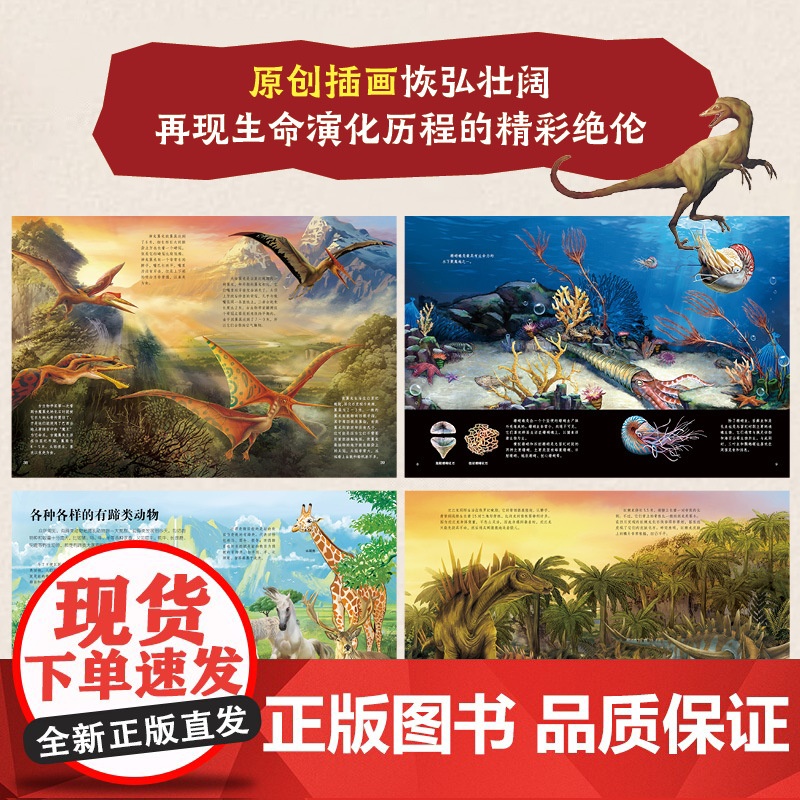 生命简史 穿越地球46亿年 前寒武纪 奥陶纪 6-12-15岁儿童中小学生青少年科普读物 宇宙起源地球形成生命诞生史前世高清大图