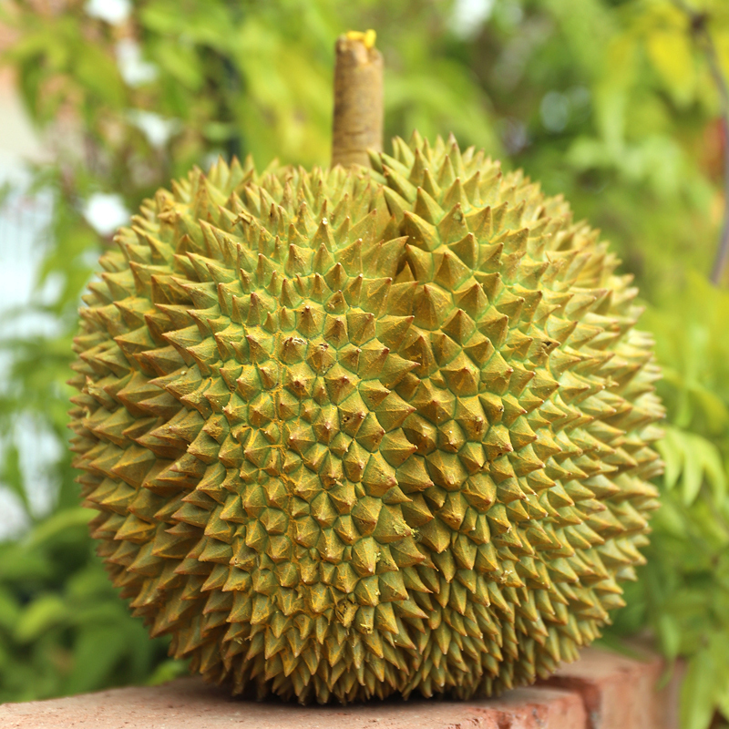 甲仑榴莲34斤泰国进口榴莲带壳新鲜水果榴莲