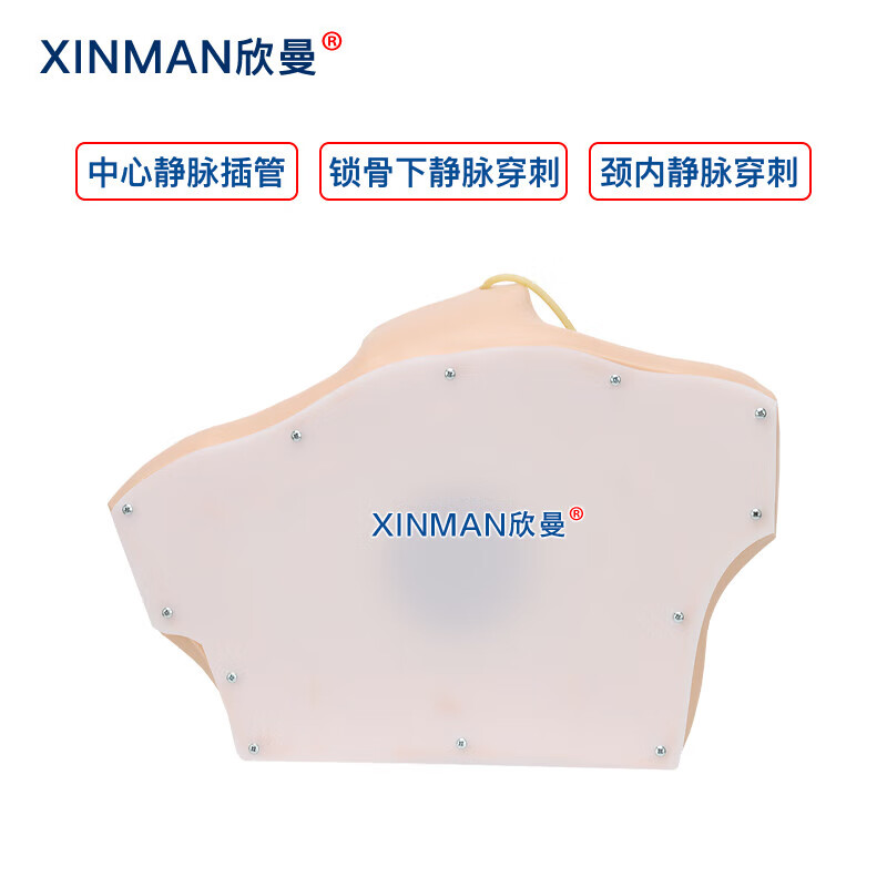 欣曼科教 中心静脉穿刺插管模型 中心静脉置管术训练模型XM-LZC02高清大图