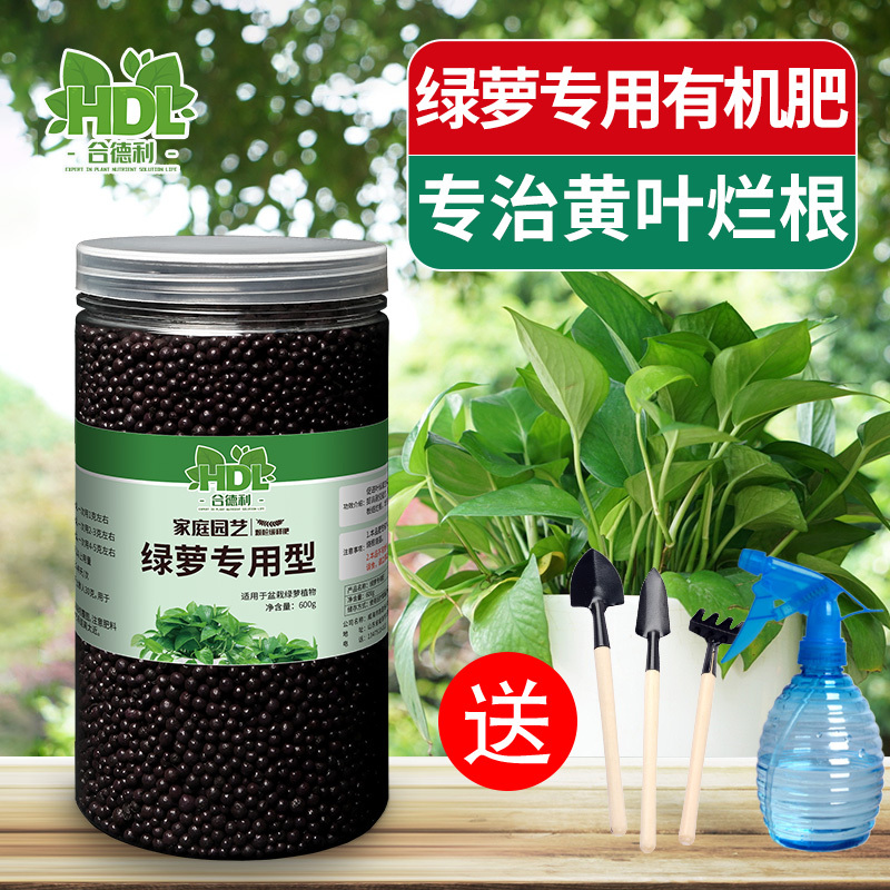 绿萝缓释肥专用型家用通用花肥料室内的叶子发黄花肥植物绿叶盆栽视频介绍 绿萝缓释肥专用型家用通用花肥料室内的叶子发黄花肥植物绿叶盆栽功能演示视频 苏宁易购