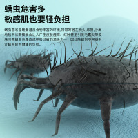 除螨仪神器床上家用无线大吸力除螨吸尘器紫外线杀菌机去螨虫神器