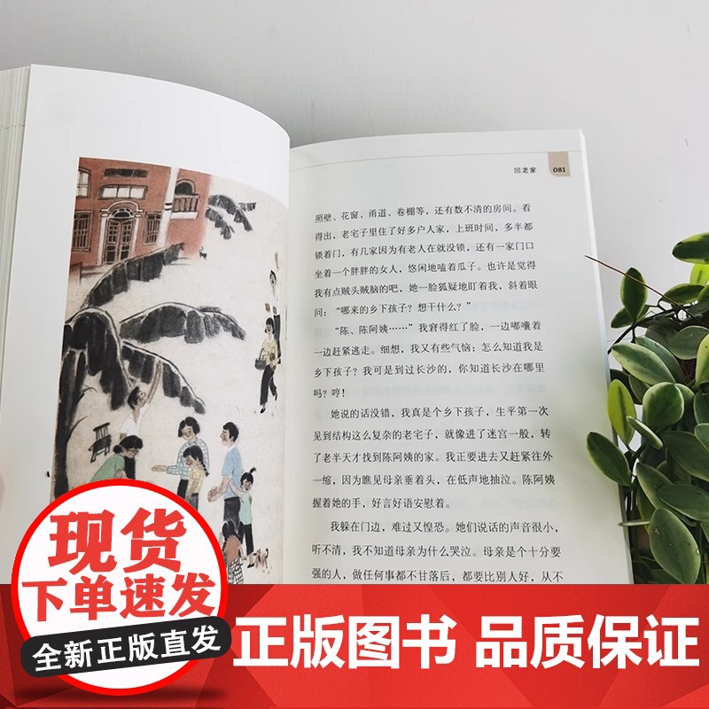凤凰花开 彭学军著 暑假百班千人五年级小学生课外阅读书籍 儿童文学经典书目 颂扬母亲如凤凰花开一生的赞歌 青岛出版社高清大图