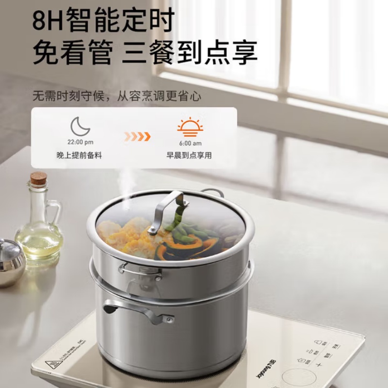 九阳 C22S-N419 高温面板大尺寸双层大线盘 电磁炉高清大图
