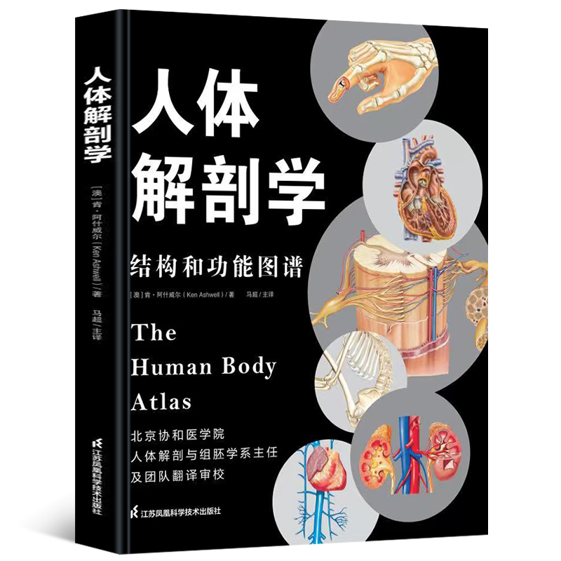 [正版]人体解剖学 结构和功能图谱 马超 北京协和医学院主任翻译人体解剖彩色图谱彩色学解刨学奈特书籍正常医学实用彩色学高清大图