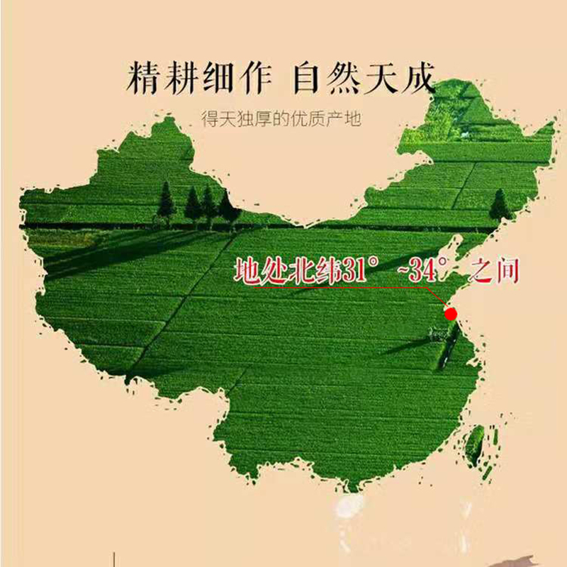 新洋大米(xinyang)武育粳射阳大米 10KG袋装