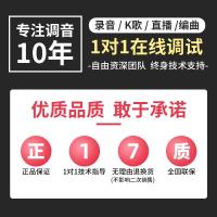 YAMAHA雅马哈/UR22C声卡专业外置USB电吉他编曲配音乐器录音声卡 UR22C