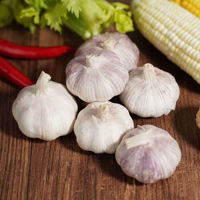 【助农】新鲜干皮大蒜2.