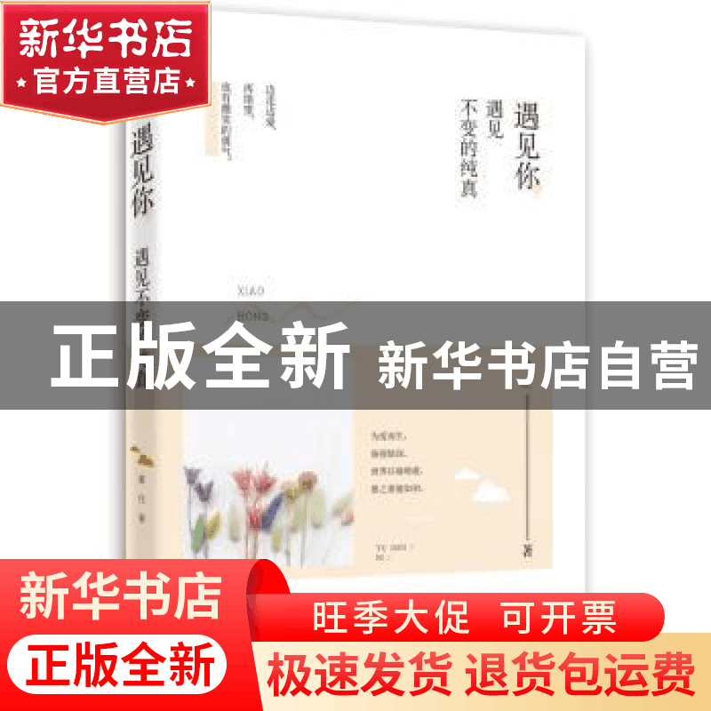 正版 遇见你,遇见不变的纯真 萧红著 天津人民出版社 9787201109图片