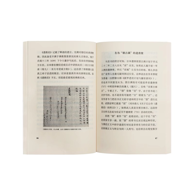 遣唐使 [正版]央视网遣唐使 端详近现代异文化交流的一面镜子 日本文化 历史切面 本DX高清大图