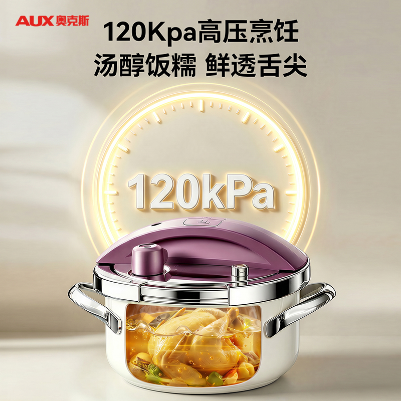 AUX奥克斯玲珑小型压力锅紫色珐琅款DSE22-5L