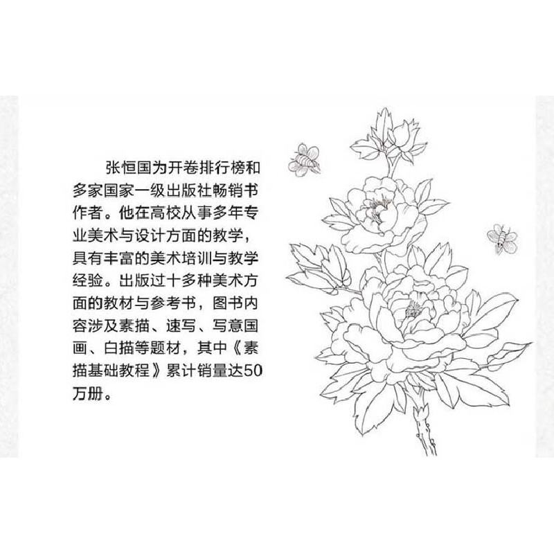 正版新书]白描入门实用教程张恒国 著9787518061518高清大图