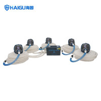 海固 HG-DHZK 20AH6.0A 彩屏智能型电动送风式长管呼吸器 Q5全面罩五人 一套