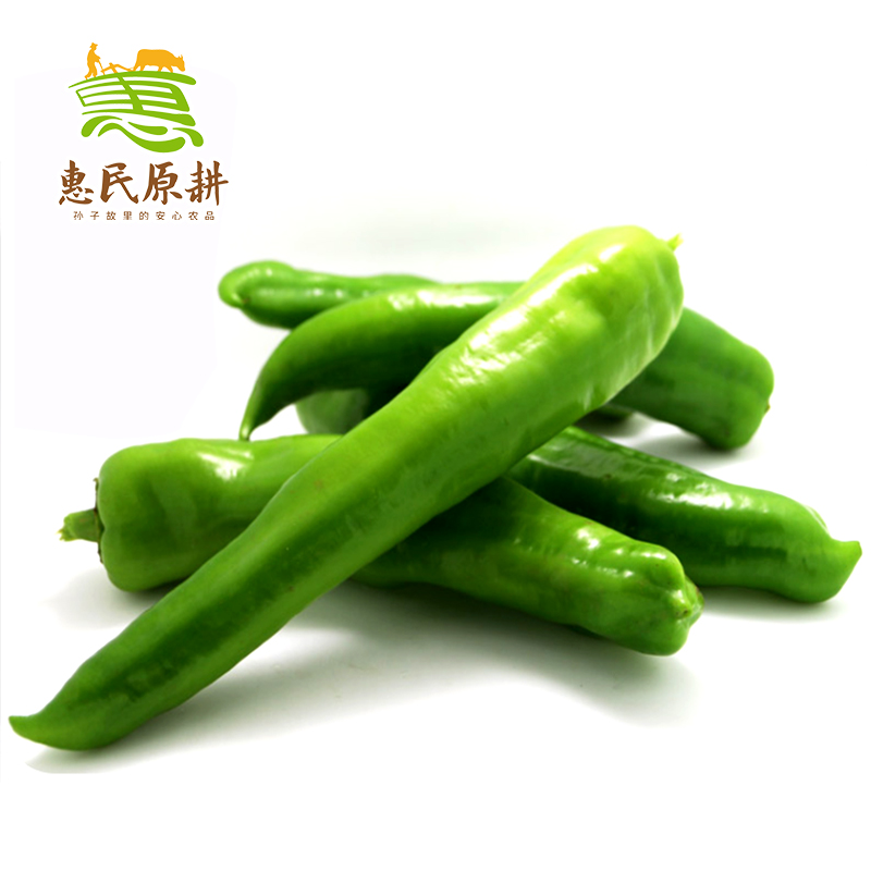惠民原耕 山东尖椒4斤装 新鲜蔬菜农家当季青皮椒菜椒长辣子青椒