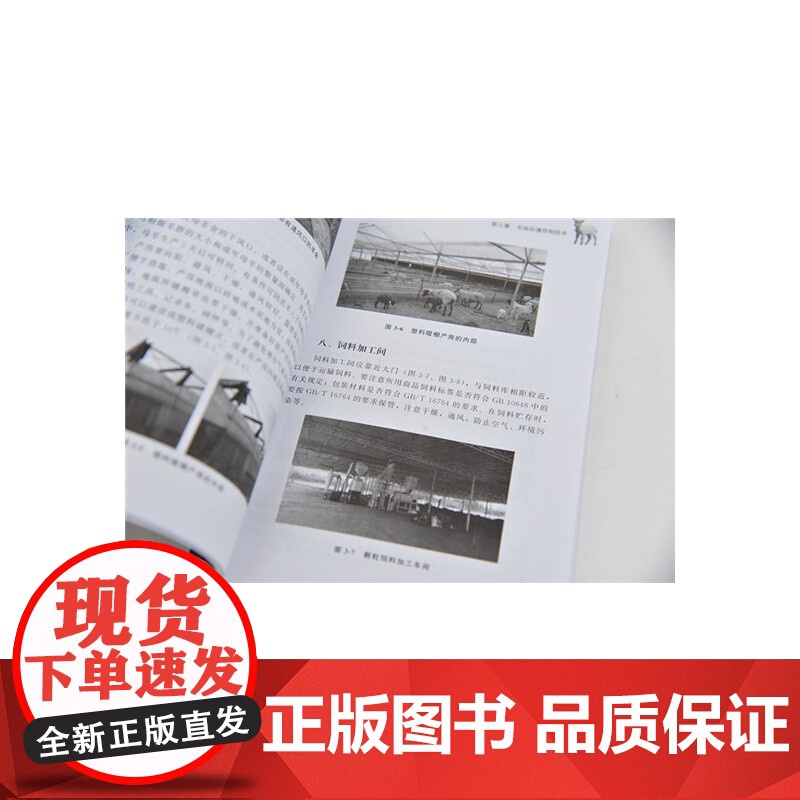 新农村快速致富宝典丛书--肉羊安全养殖新技术宝典 田树军 化学工业出版社 正版书籍高清大图