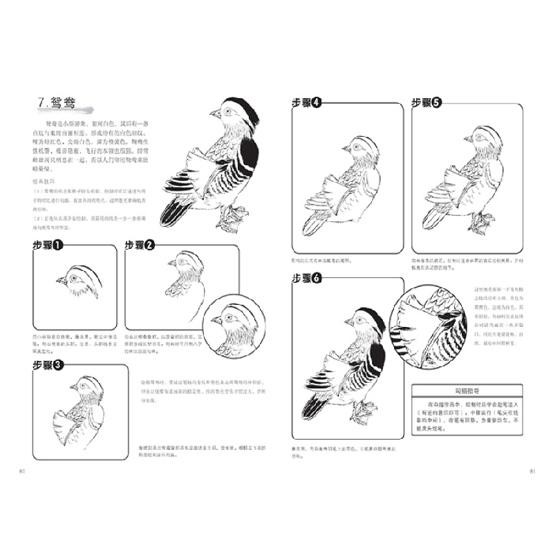 正版新书]白描从入门到精通(绘客出品)梁雪 著9787115440457高清大图
