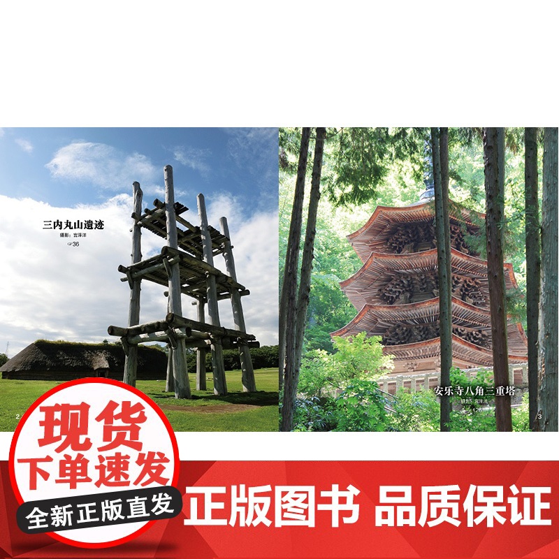 重新发现日本:60处日本最美古建筑之旅 矶达雄 宫泽洋著 上海文化出版社高清大图