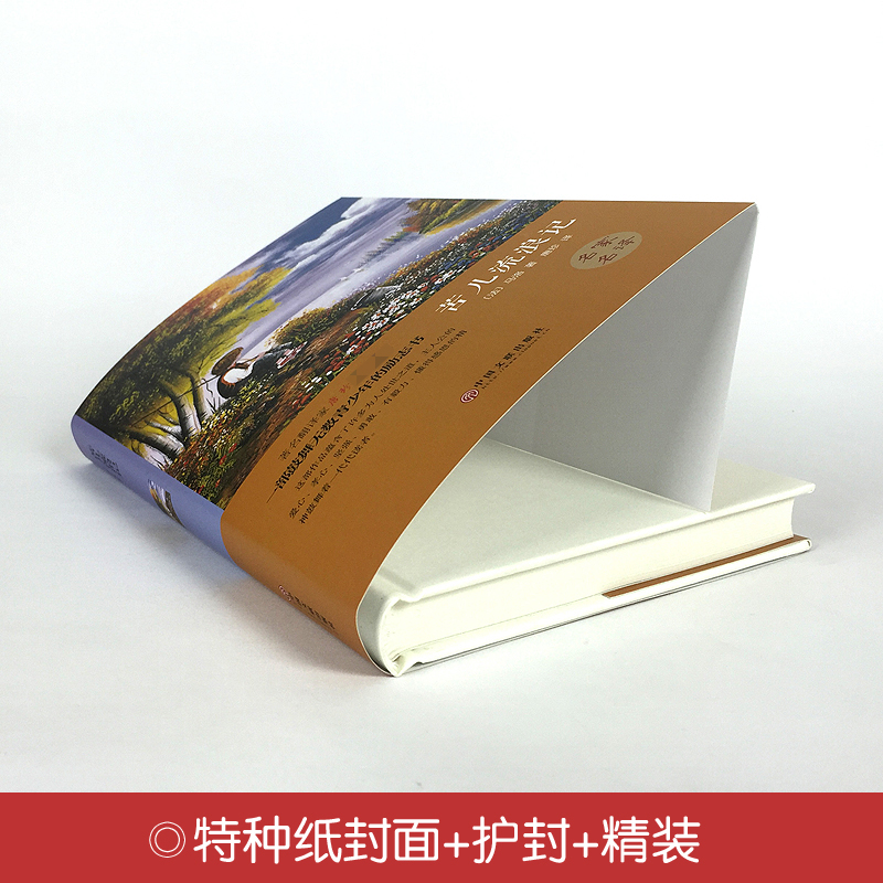 醉染图书苦儿流浪记(精)9787519006037高清大图