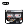 维思泰 发电机组汽油发电机 RD10800DSE 台（8KW单相/三相/电启动）