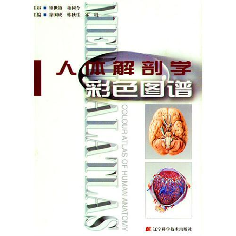 正版新书]人体解剖学彩色图谱(第二版)徐国成 韩秋生 霍琨978753高清大图