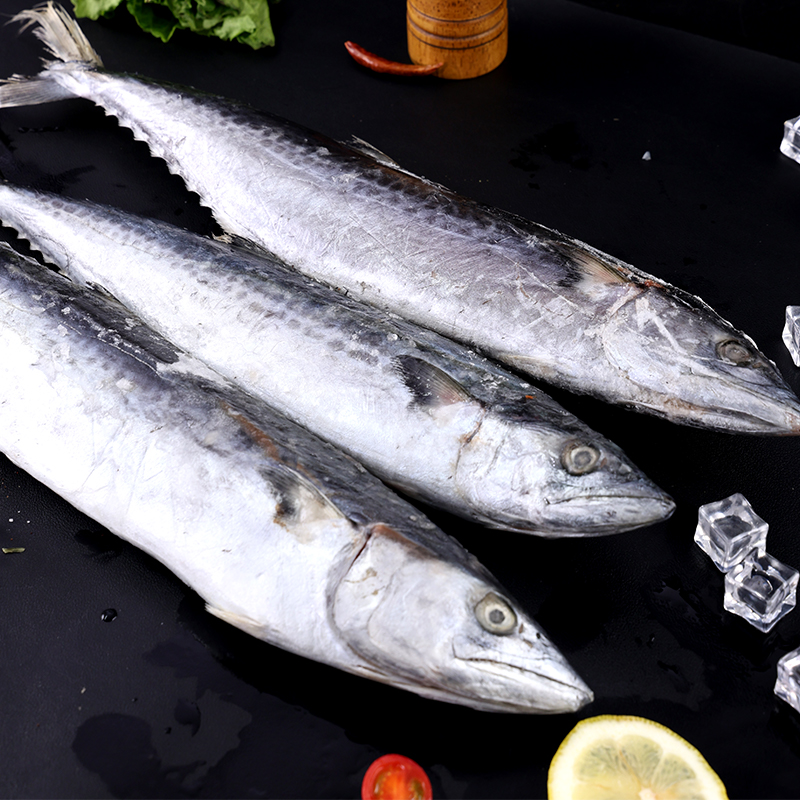星龙港 海捕冷冻鲅鱼礼盒 2000g高清大图